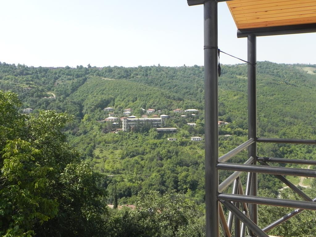 Galavnis Kari Hotel Sighnaghi Ruang foto